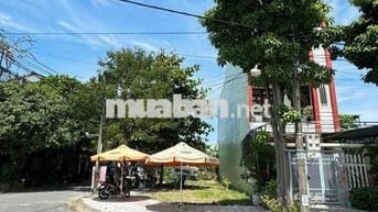 🧧 2 MẶT TIỀN : TẾ HANH - PHÙ ĐỔNG
