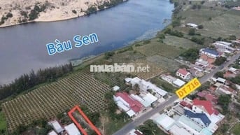 Bán đất nền mặt tiền đường nhựa 716 view hồ Bàu Trắng, Bình Thuận.