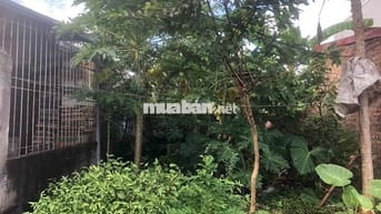 Đất 57m2 ngang 5m HXH Bãi Huyện, An Đồng, An Dương 2,2 tỷ đồng