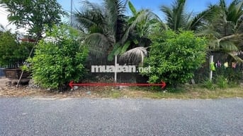 Đất MT Nguyễn Quang Đại, P.5, 5x23,1m, đường 9m, sát ngã ba, sổ hồng
