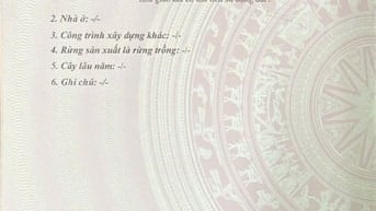 Chính chủ bán nhà mặt đường, nhiều tiện ích xã hội, tiềm năng tăng giá