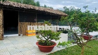 CẦN BÁN NHÀ VƯỜN NGHĨ DƯỠNG 1200M²,1VƯỜN TRÁI CÂY, AO CÁ. Ô TÔ TỚi