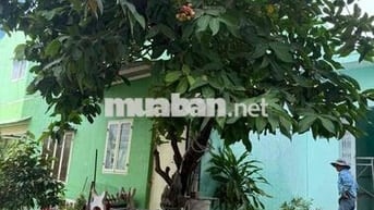 ♻️nhà thuê ♻️8tr ✅4x21 ❤️nhà thuê Bùi tư toàn an lạc bình Tân. Nhà 1
