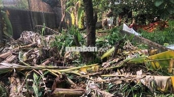 Đất 90m2 ngang 4,5m dài 20m Vân Tra, An Đồng giá 2,65 tỷ đồng