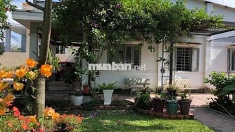 NHÀ GIA ĐÌNH Ở-950M2-3 PHÒNG NGỦ GẦN BỆNH VIỆN, TRƯỜNG HỌC, CHỢ.