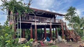 🌿 Sở hữu ngay vườn trái cây sinh thái kề Long Khánh, chỉ 980TR/1000m²