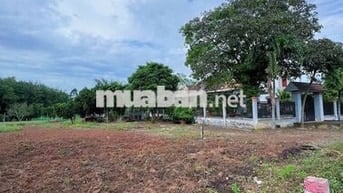 Chính chủ cần bán đất tại An Linh, Phú Giáo, 500m2(10x50), 800 triệu