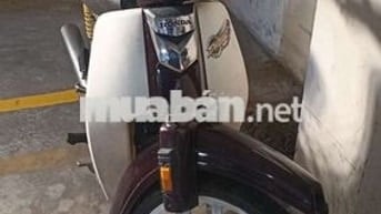 Sp208, 9chủ bstp