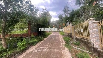 📍 Vị trí: Xuân Lộc, Đồng Nai 📐 Diện tích: 1710,4 m²  💰 Đơn giá: 2.277