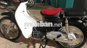 cub 50 cc