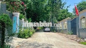 Đất sát Trường  Tân Hiệp Phú Giáo Hồ Chí Minh giá 550tr /420m2 sổ sẳn