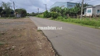 Bán 1sao2. Đất full hồng, vườn trái cây đủ loại
Giá Ngộp