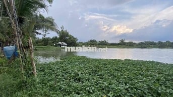 ĐẤT NÔNG NGHIỆP ĐẸP 4502M2, NGUYỄN BÌNH, NHƠN ĐỨC, CHỈ 2,4Tr/m2