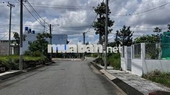 CHÍNH CHỦ BÁN LÔ ĐẤT Ở Hoàng Phan Thái, Bình Chánh, 80m2, chỉ 1,45 tỷ