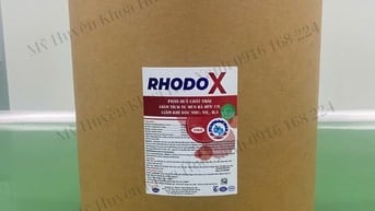 🌿 RHODO X – Chế phẩm sinh học xử lý nước cao cấp cho ao nuôi tôm cá