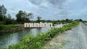 🌷Đất vườn dt 1001m giá 890tr.mặt tiền view kênh thạnh Hòa bến lức.