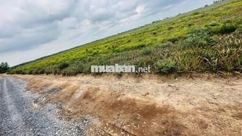 Đất nền 10x40 352m2 thổ cư, Đường Rộng đá xanh