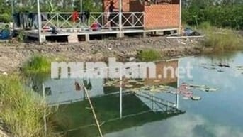 1100mv ĐẤT VƯỜN CÓ NHÀ VƯỜN , ĐƯỜNG ÔTÔ BẾN LỨC LONG AN