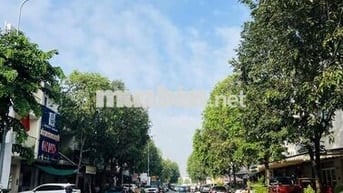 mặt tiền đường N1 khu D2D chính chủ
