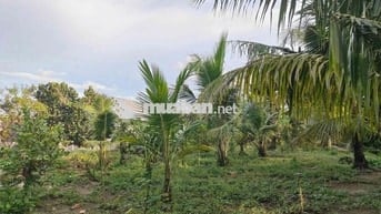 BÁN NHÀ VÀ ĐẤT NGHỈ DƯỠNG Ở BÊN TRE
