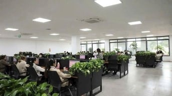 Nhân Viên Tư Vấn Dịch Vụ Viettel Giờ Hành Chính Tân Bình Hồ Chí Minh