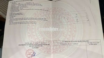 💥 LÔ ĐẤT ĐẸP ĐƯỜNG THÔNG 2 Ô TÔ CHÁNH 👉 CHƯƠNG DƯƠNG - THƯỜNG TÍN -H
