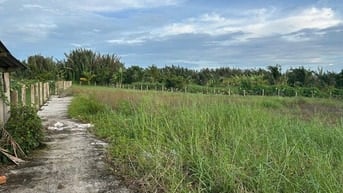 Đất vườn ven sông Tầm Vu, Long An rẻ đẹp