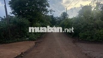 Cần bán lô đất mặt tiền đường nhựa lớn. 150 thổ cư