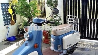 Julio 50cc