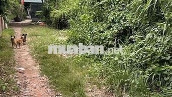 ĐẤT NÔNG NGHIỆP ĐẸP 1100M2, HẺM OTO 1942 HUỲNH TẤN PHÁT, CHỈ 5Tr/M2