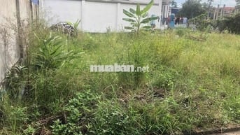 Đất 68m2 ngang 5m Thôn 2 Bắc Sơn, An Dương giá 1,57 tỷ đồng
