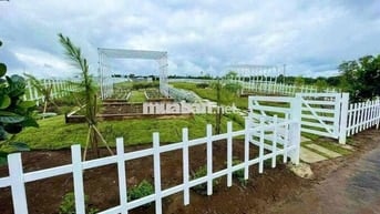 Đất thổ cư ngay ngã 3 cây xăng Liên Nghĩa,QL20 đi vào,Sổ Hồng Riêng.