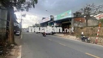 Đất mặt tiền đường nhựa Phường 6, trung tâm Đà Lạt hiếm có