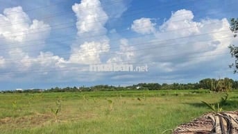 BÁN ĐẤT LỚN – XÃ PHÚ ĐÔNG, HUYỆN NHƠN TRẠCH, ĐỒNG