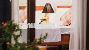 🏡 CHO THUÊ NHÀ SÂN VƯỜN RỘNG SAU LƯNG GOLDBAY, SƠN TRÀ, ĐÀ NẴNG