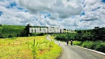 BÁN ĐẤT VIEW ĐỒI CHÈ VÀ SUỐI – XÃ LỘC PHÚ, TP. BẢO LỘC