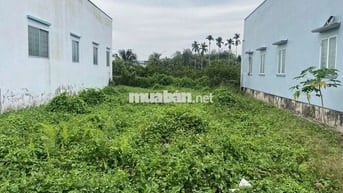 Sang gấp đất 10m x 20m xã Thạnh Hoà, Bến Lức. Sổ hồng riêng