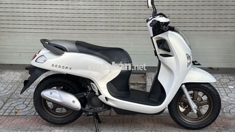 Scoopy 2025 - New 100%