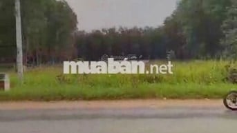 4300m2 mặt tiền tỉnh lộ DT 766 Đức Linh phù hợp nhà xưởng, cây xăng..