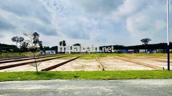 Ngộp bán gấp 300m2 - Sẵn thổ cư - xây dựng tự do - Cách chợ 400m