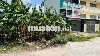 BÁN ĐẤT KDC BẾN LỨC CHỢ ĐẦUMỐI BÌNH ĐIỀN ĐƯỜNG 20M DT110m2 GIÁ 6,05 TỶ