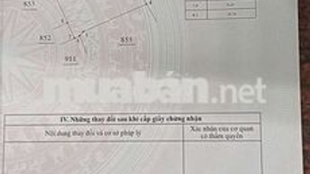 Diện tích 715m², đất trồng cây hàng năm,sổ hồng riêng, pháp lý rõ ràng