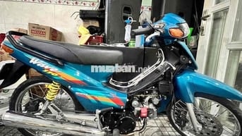 Ra đi cứu chủ