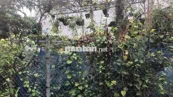 Đất 60m2 HXH gần chợ Minh Kha, Đặng Cương, An Dương 1,7 tỷ