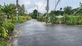 Đất nền giá rẻ ngay trung tâm Tp Bến