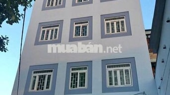 BÁN CĂN HỘ DỊCH VỤ - HỒ VĂN LONG, BÌNH TÂN, 20 tỷ 800 thương lượng !!!