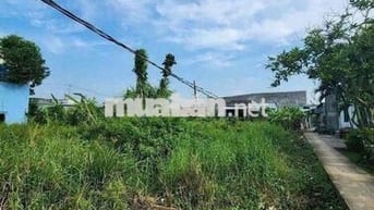 Cần bán gấp nền đất trong khu The Sol City 227m2 full TC giá 2tỷ2