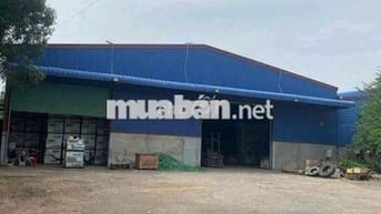 GiáTốt- Cho Thuê Kho Xưởng 2500m2 Sẵn Trạm Điện 4Pha, Xe Công Quay Đầu