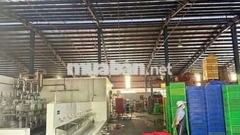XƯỞNG CHO THUÊ XUÂN THỚI SƠN HÓC MÔN