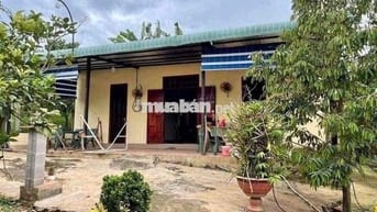 ĐẤT VƯỜN 1500m² GIÁ CHỈ 425 TRIỆU, SỔ SẴN, CHƠN THÀNH - BÌNH PHƯỚC